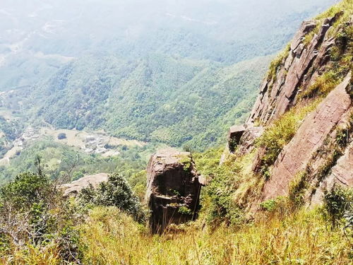 岑溪風物 意動身臨湖廣頂,雄山萬仞踏云行