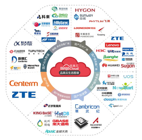 品高云入圍2021數字生態(tài)信創(chuàng)服務商100強 云計算榜單