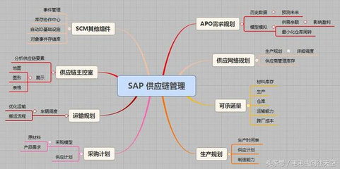 供應鏈管理及其SAP業務情景概述